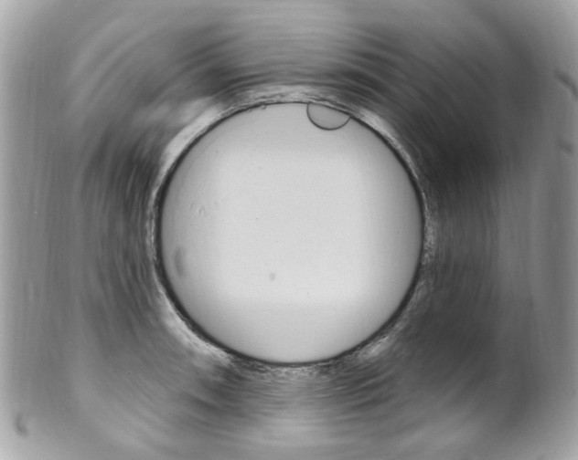 X0000101421090200807071025