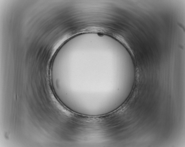 X0000101421091200807071025