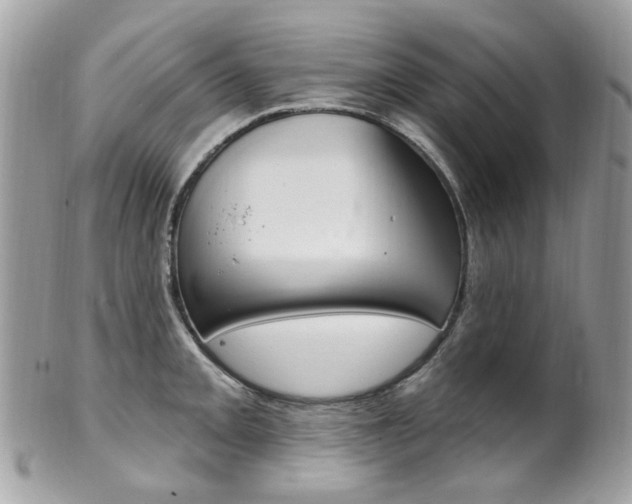 X0000101421093200807071025
