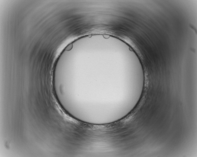 X0000101421094200807071025