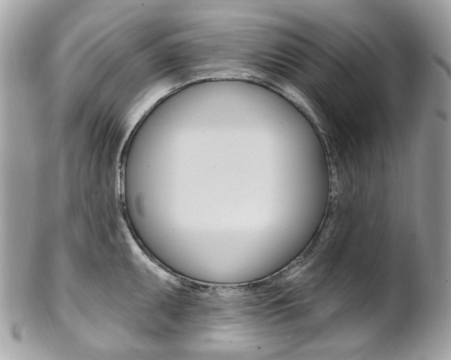 X0000101421095200807071025