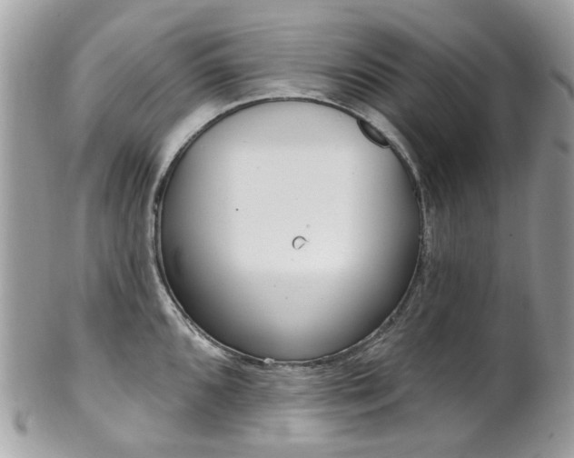 X0000101421096200807071025