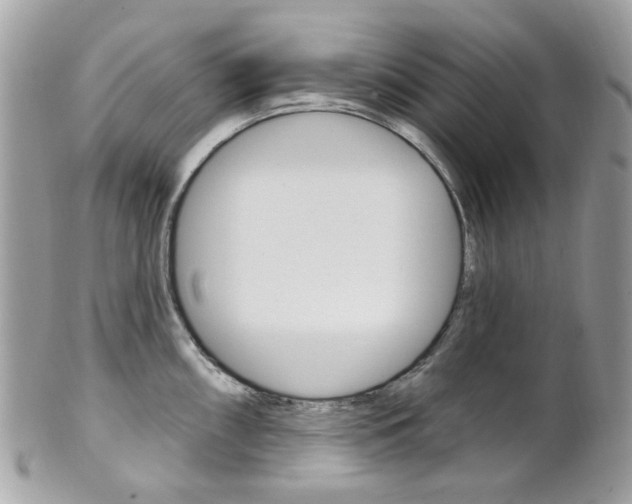 X0000101421098200807071025