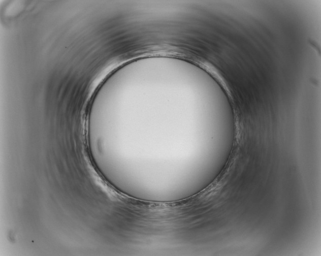 X0000101421099200807071025