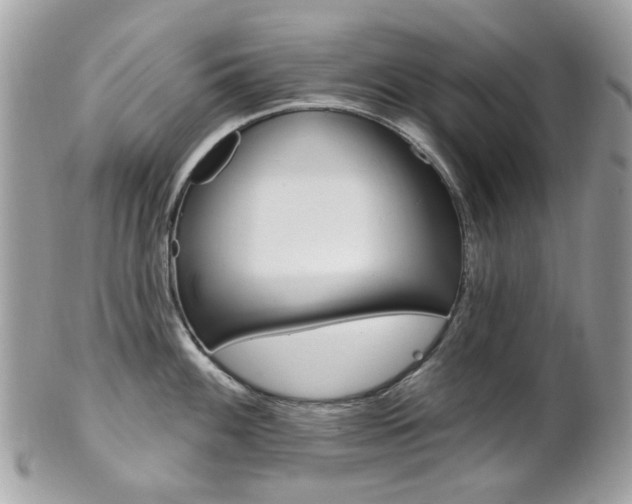 X0000101421100200807071025