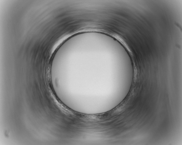 X0000101421101200807071025