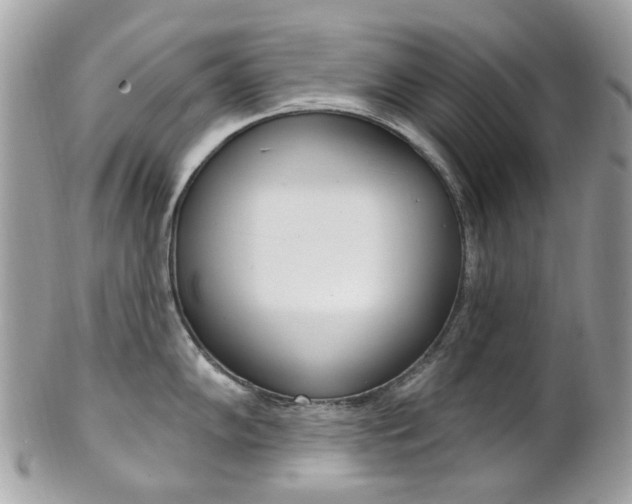 X0000101421102200807071025