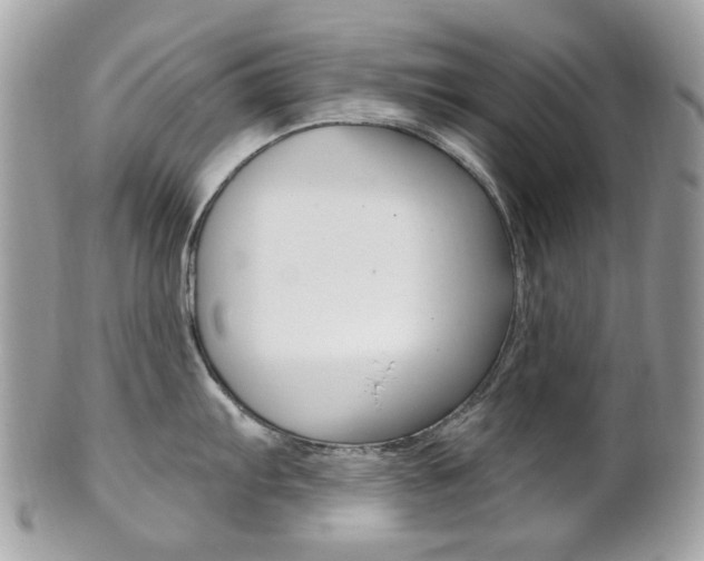 X0000101421103200807071025