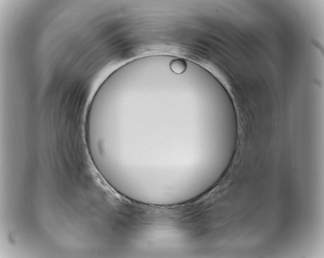 X0000101421104200807071025