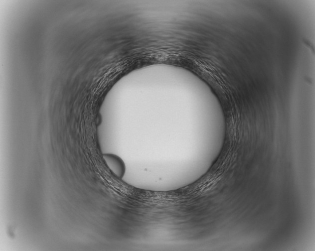 X0000101421105200807071024