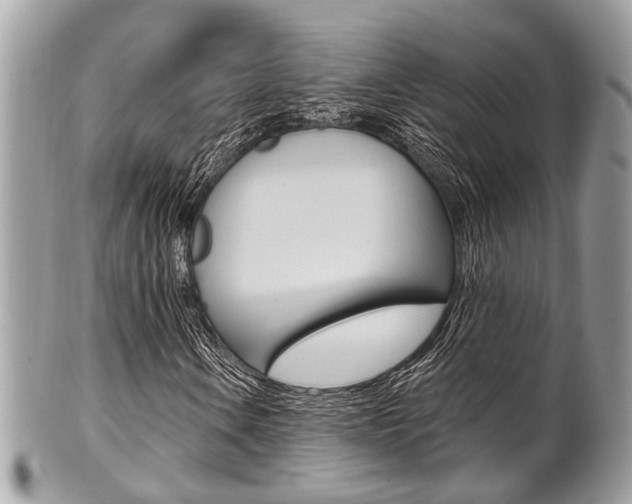 X0000101421106200807071024