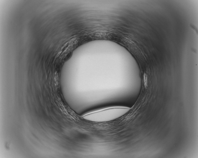 X0000101421107200807071024