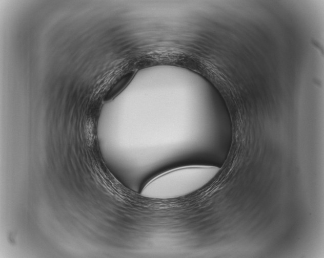 X0000101421108200807071024