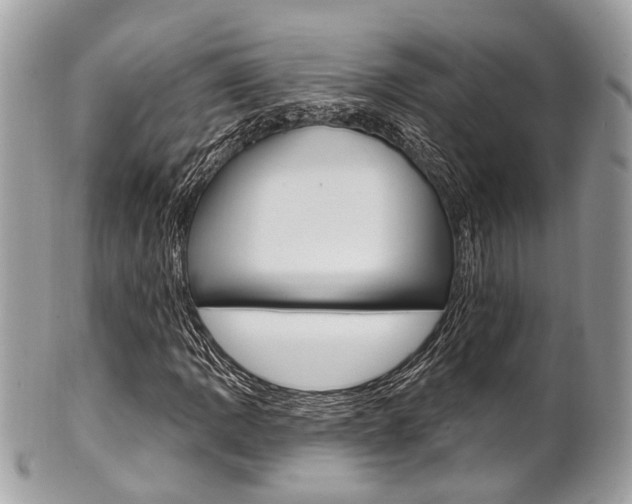X0000101421109200807071024