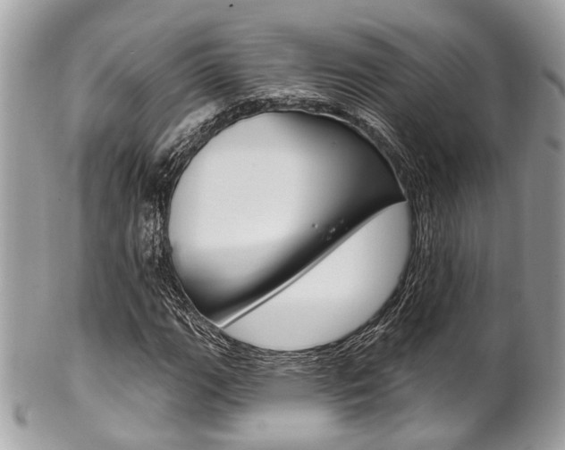 X0000101421111200807071024