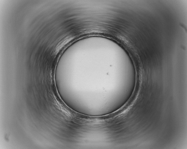 X0000101421113200807071024