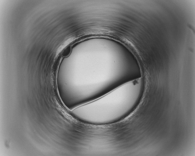 X0000101421114200807071024