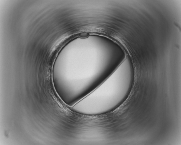 X0000101421115200807071024