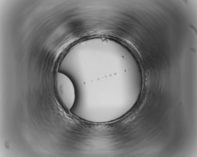 X0000101421117200807071024