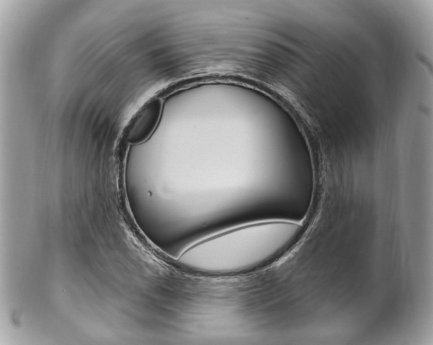 X0000101421118200807071024