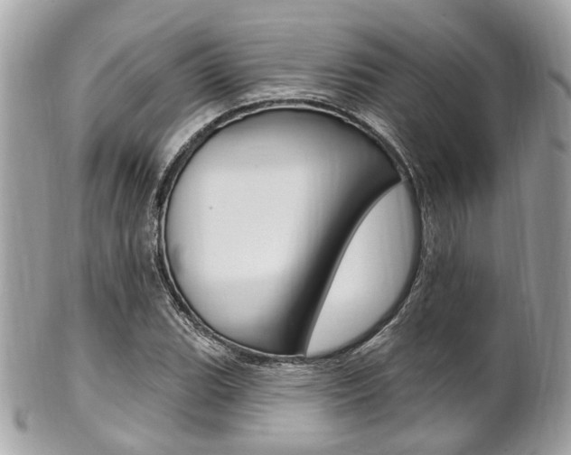 X0000101421119200807071024