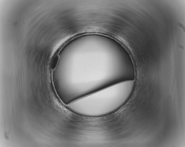 X0000101421120200807071024