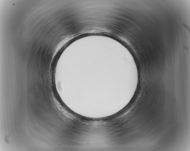 X0000101421122200807071024