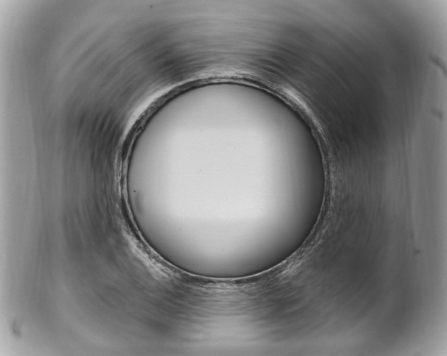 X0000101421124200807071024