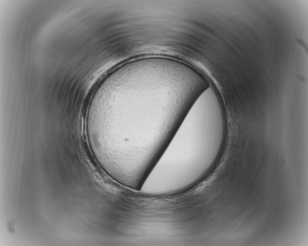 X0000101421125200807071024