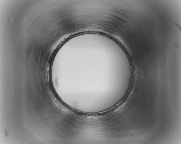 X0000101421126200807071024