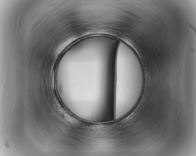 X0000101421127200807071024