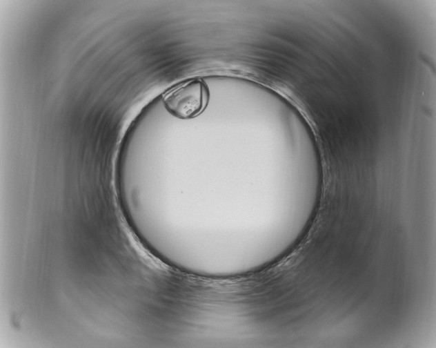 X0000101421128200807071024