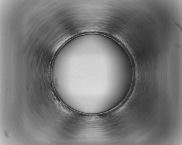 X0000101421129200807071024