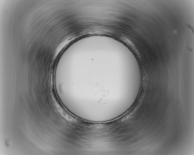 X0000101421130200807071024
