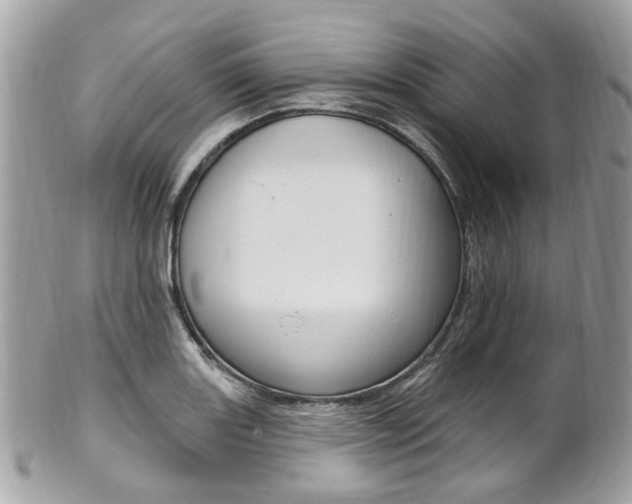 X0000101421131200807071024