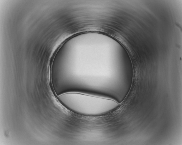 X0000101421132200807071024