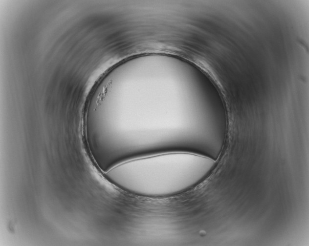 X0000101421136200807071024