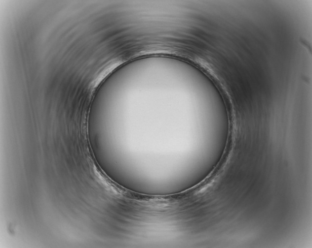 X0000101421137200807071024