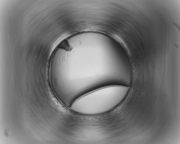 X0000101421138200807071025