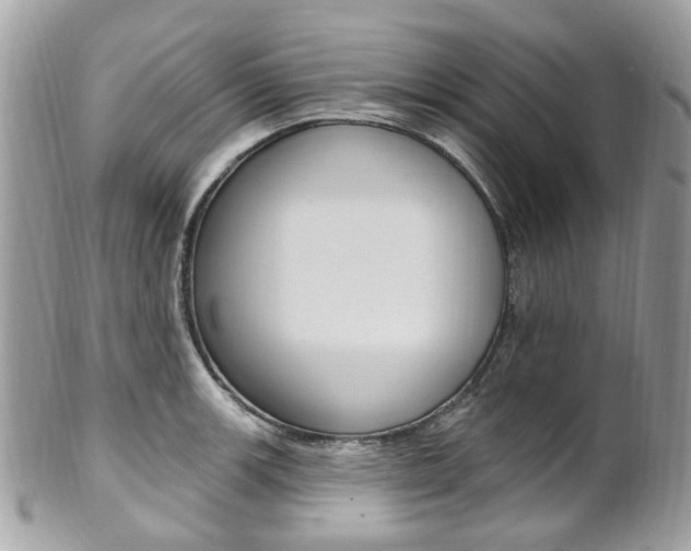 X0000101421139200807071025