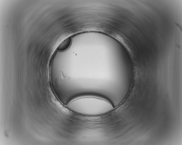 X0000101421140200807071025