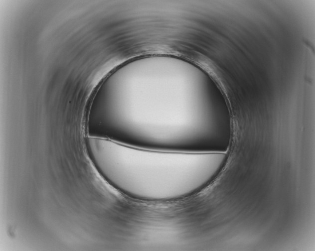X0000101421141200807071025