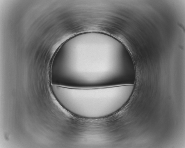 X0000101421142200807071025