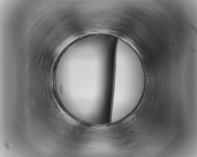 X0000101421143200807071025