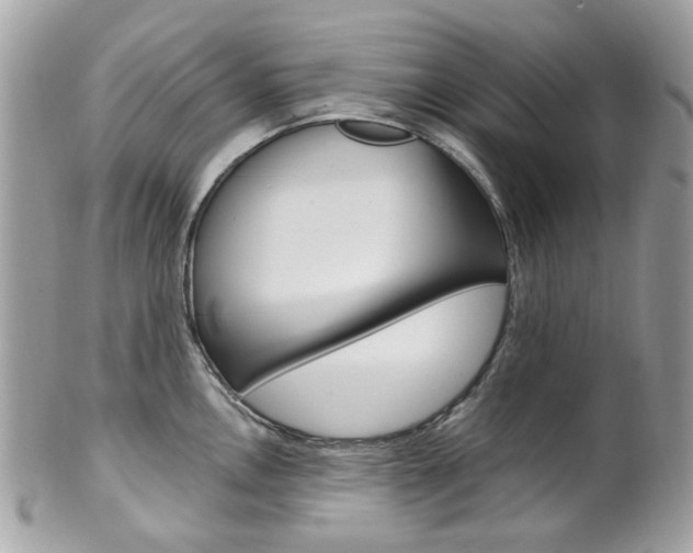 X0000101421146200807071025