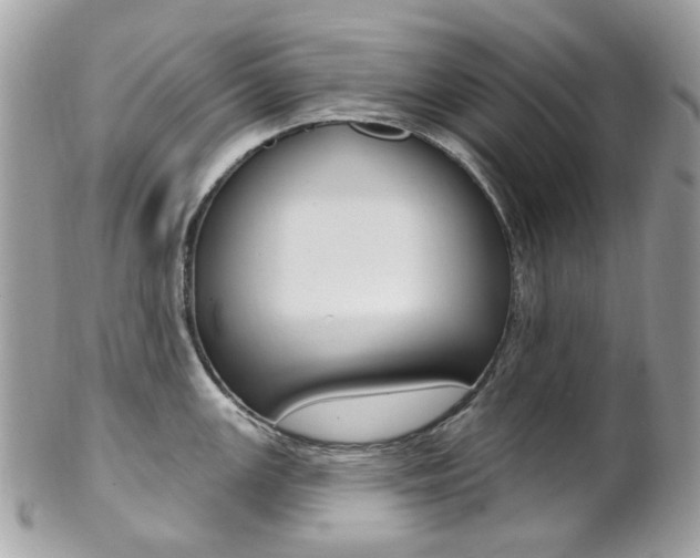 X0000101421147200807071025