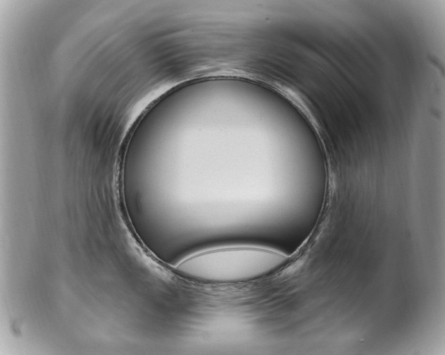 X0000101421149200807071025