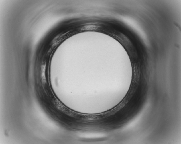 X0000101421150200807071025