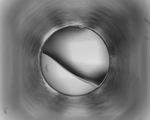 X0000101421151200807071025