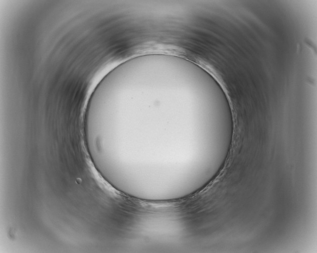 X0000101421152200807071025